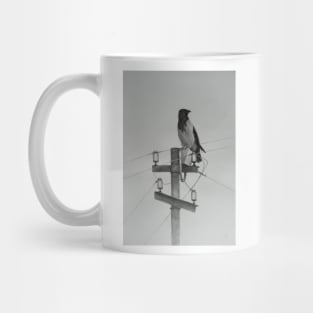 Hooded crow Mug